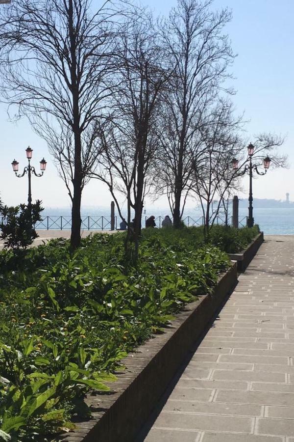 & Cozy Venice